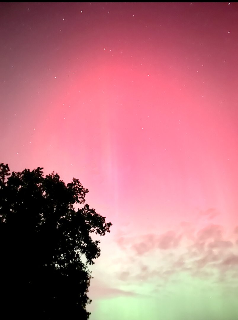 Die schönsten Polarlichter der letzten Nacht - Bild 134