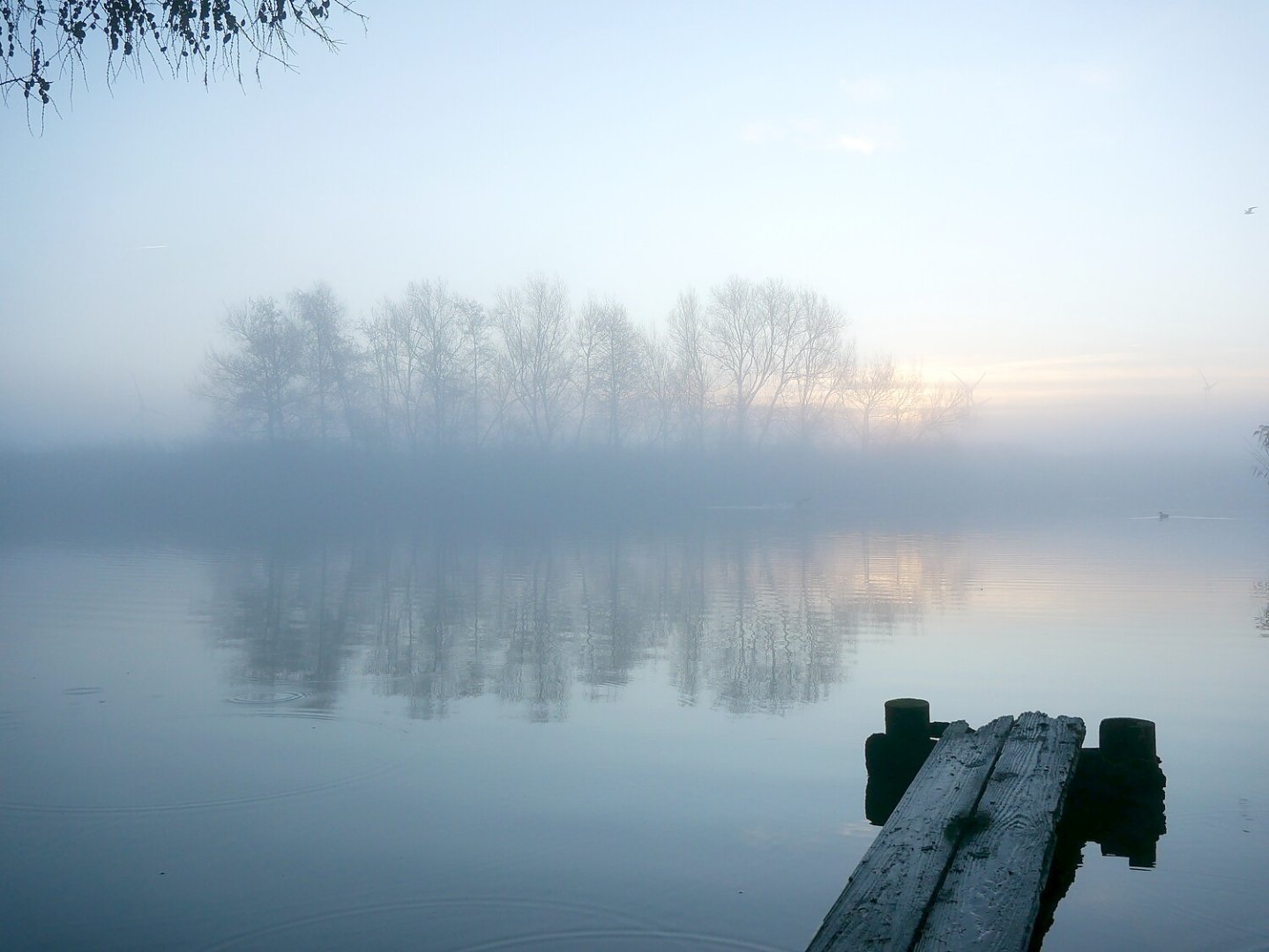 So schön ist der Herbst in Ostfriesland - Bild 44