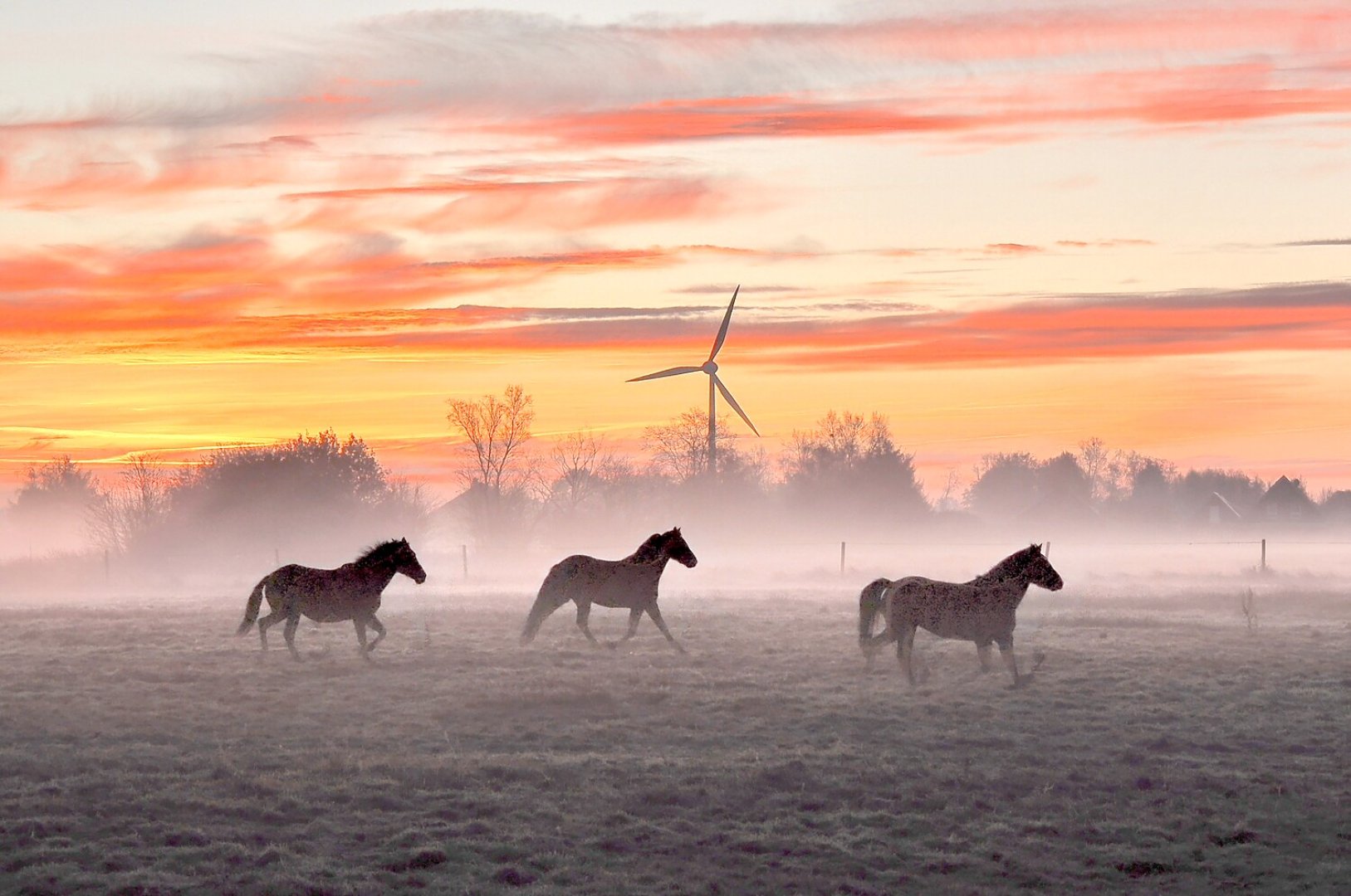 So schön ist der Herbst in Ostfriesland - Bild 52