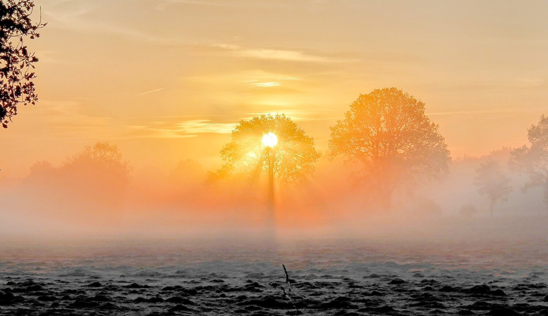 So schön ist der Herbst in Ostfriesland - Bild 53