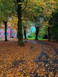 So schön ist der Herbst in Ostfriesland - Bild 61