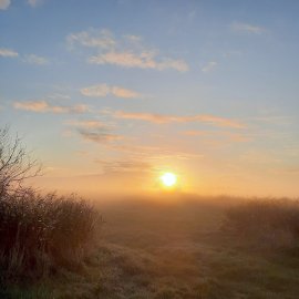 So schön ist der Herbst in Ostfriesland - Bild 66