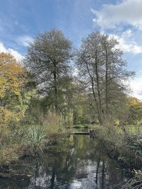 So schön ist der Herbst in Ostfriesland - Bild 68