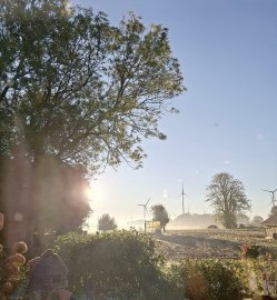 So schön ist der Herbst in Ostfriesland - Bild 71