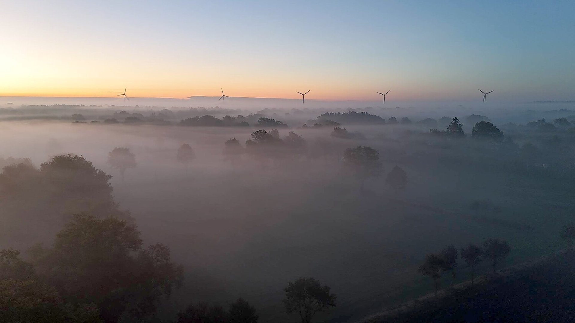 So schön ist der Herbst in Ostfriesland - Bild 82