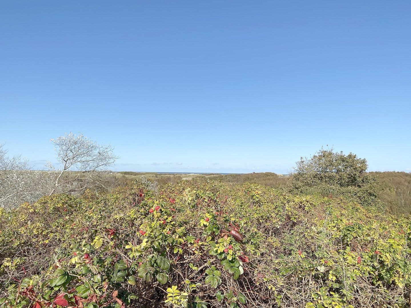 So schön ist der Herbst in Ostfriesland - Bild 112