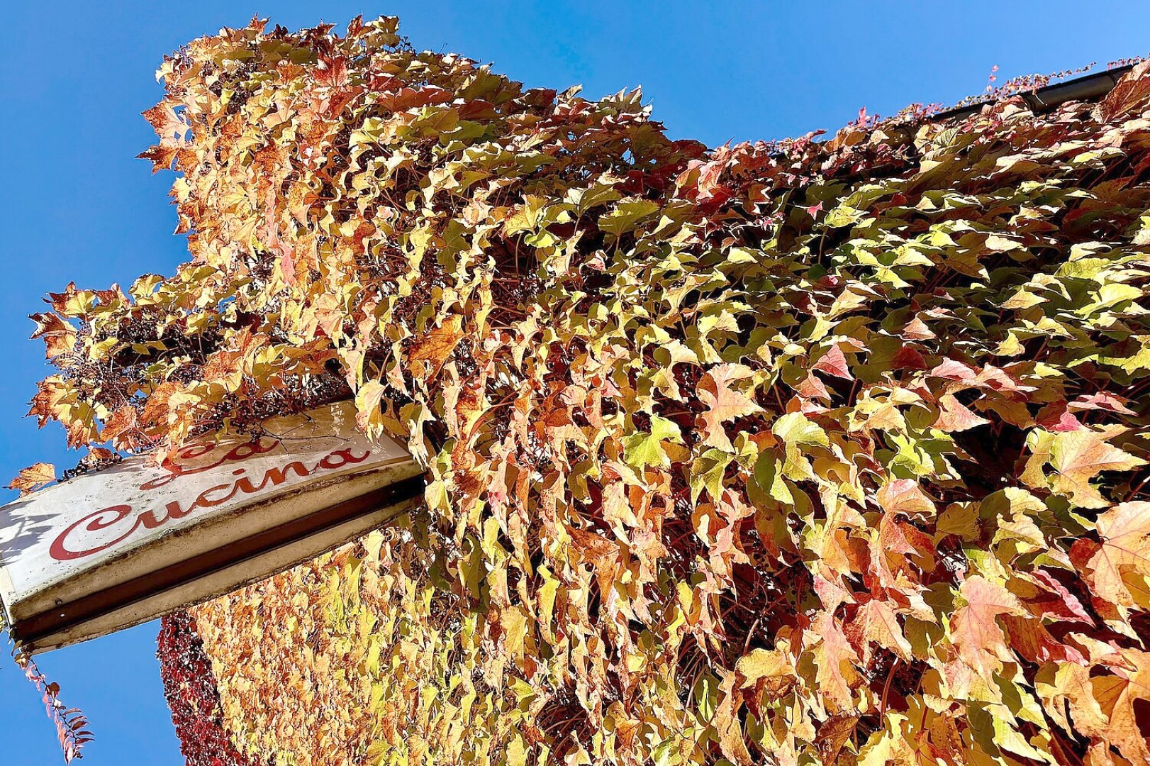 So schön ist der Herbst in Ostfriesland - Bild 2