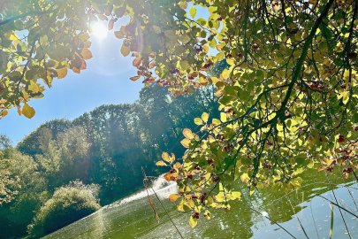 So schön ist der Herbst in Ostfriesland - Bild 3