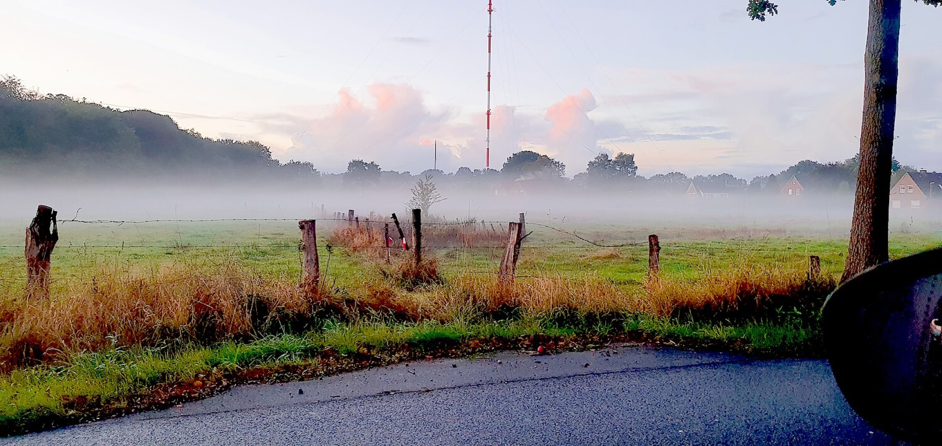 So schön ist der Herbst in Ostfriesland - Bild 11