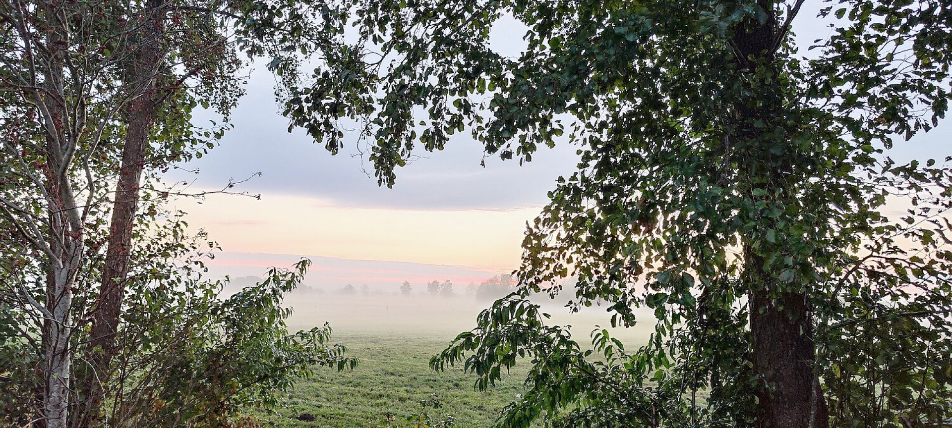 So schön ist der Herbst in Ostfriesland - Bild 23