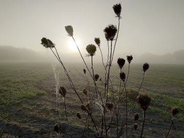 So schön ist der Herbst in Ostfriesland - Bild 35