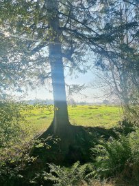 So schön ist der Herbst in Ostfriesland - Bild 41