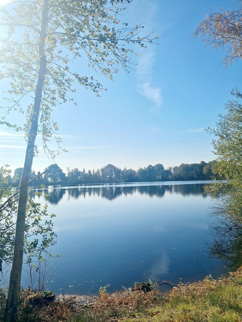 So schön ist der Herbst in Ostfriesland - Bild 43