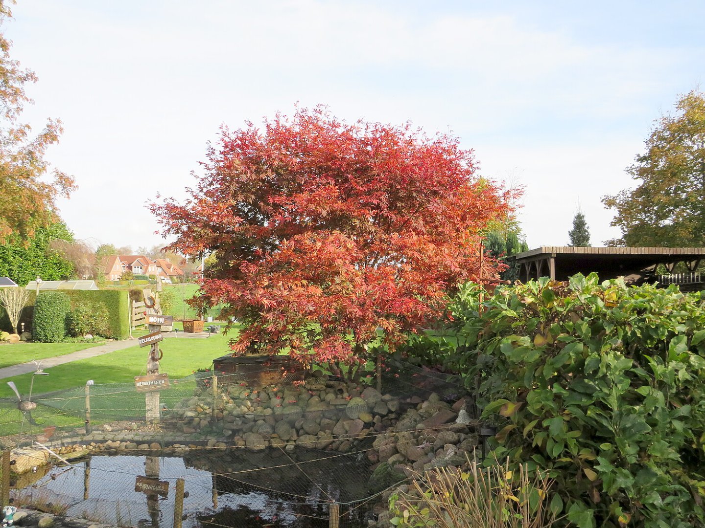 So schön ist der Herbst in Ostfriesland - Bild 55