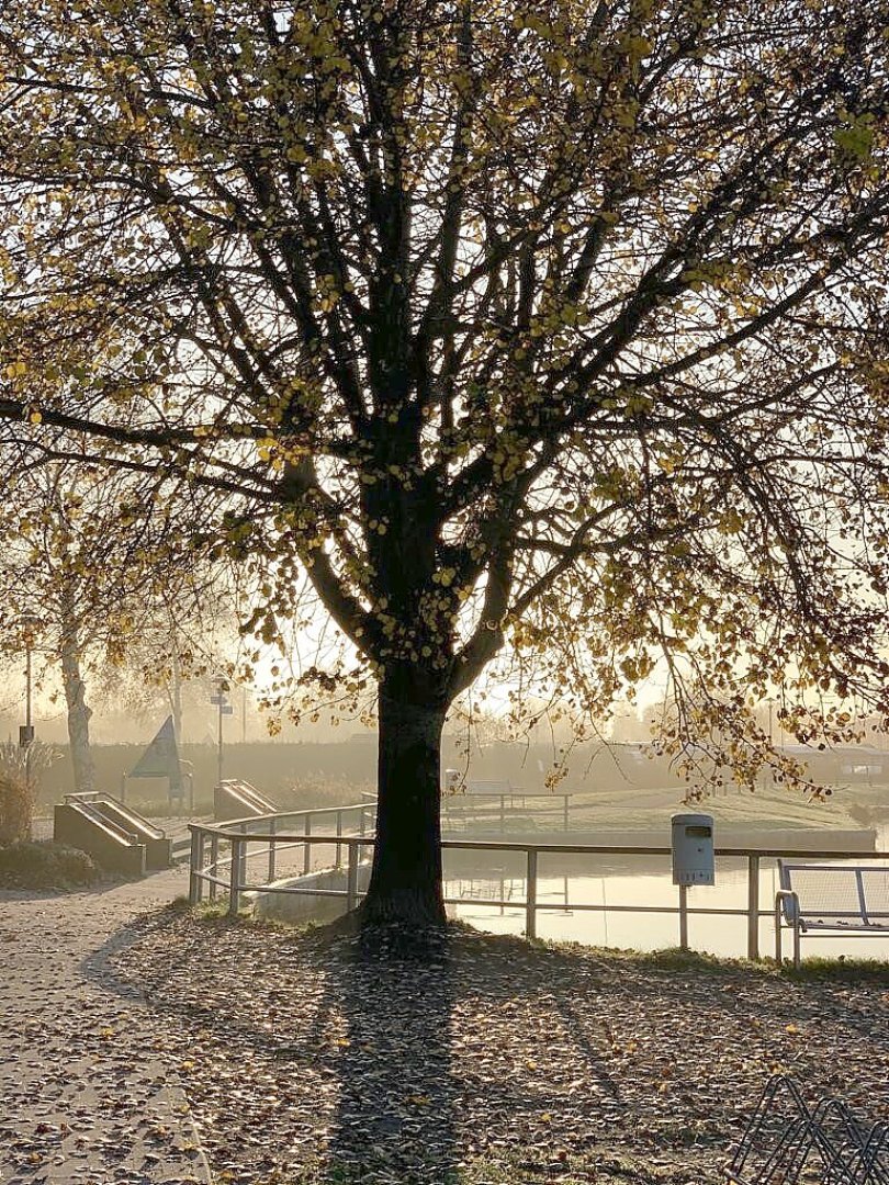 So schön ist der Herbst in Ostfriesland - Bild 62