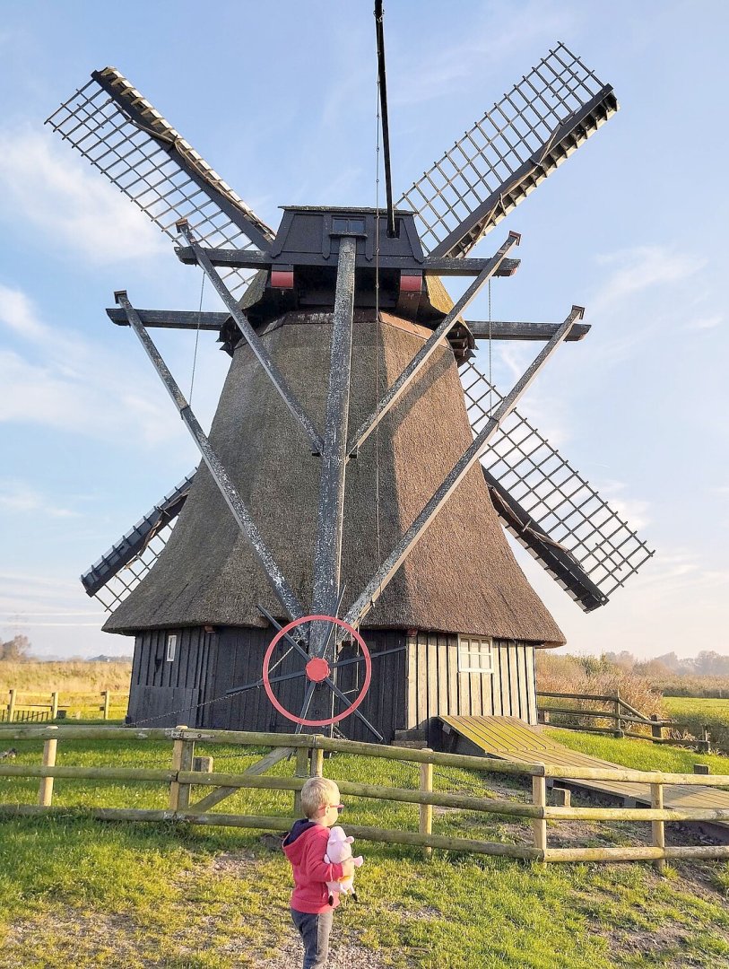 So schön ist der Herbst in Ostfriesland - Bild 79