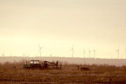 So schön ist der Herbst in Ostfriesland - Bild 91