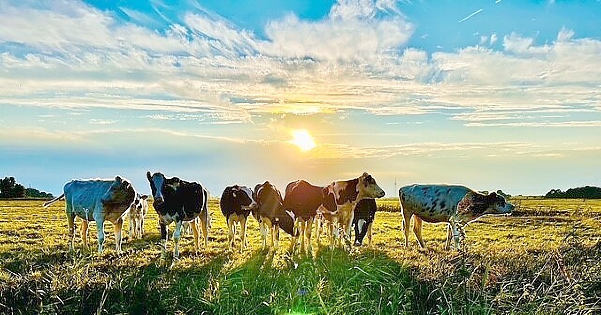 So schön ist der Herbst in Ostfriesland - Bild 99