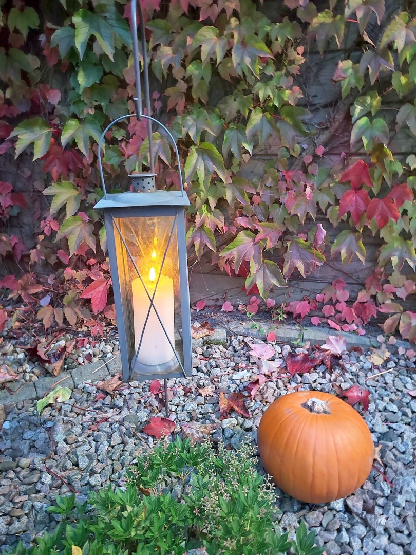 So schön ist der Herbst in Ostfriesland - Bild 100