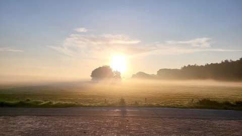 So schön ist der Herbst in Ostfriesland - Bild 105