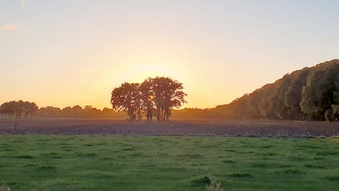 So schön ist der Herbst in Ostfriesland - Bild 118