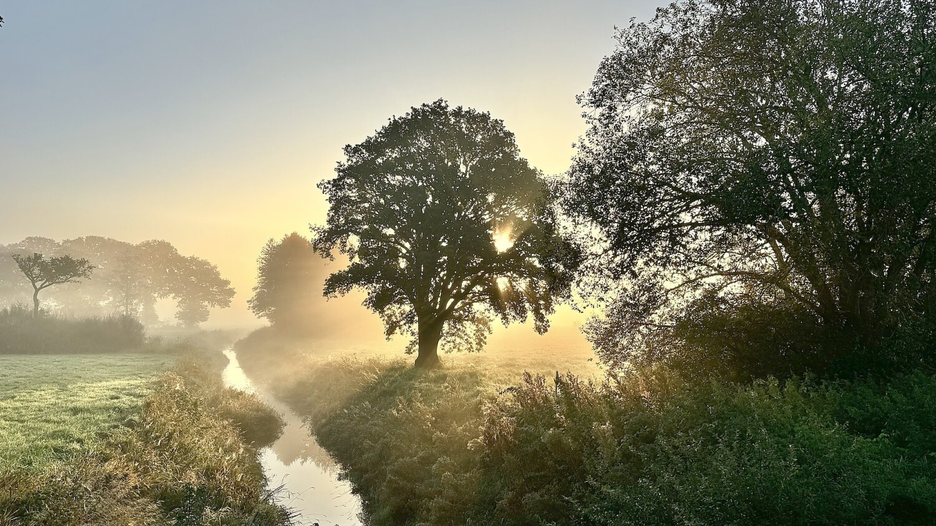 So schön ist der Herbst in Ostfriesland - Bild 9