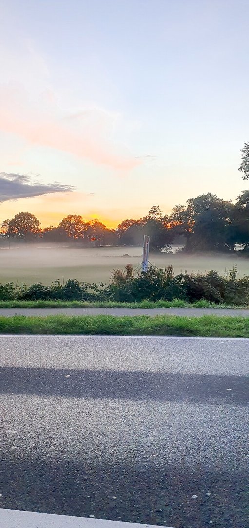 So schön ist der Herbst in Ostfriesland - Bild 27