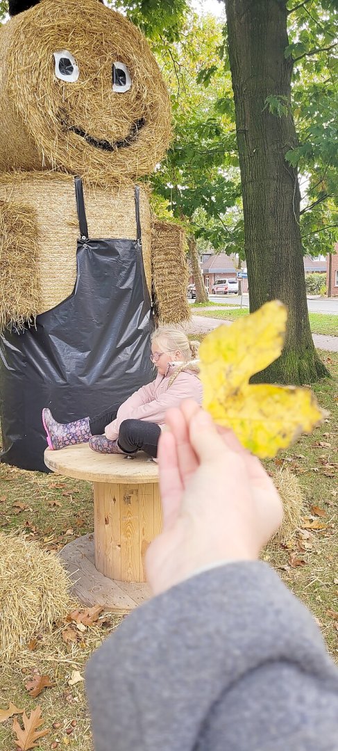 So schön ist der Herbst in Ostfriesland - Bild 28