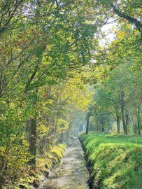 So schön ist der Herbst in Ostfriesland - Bild 39