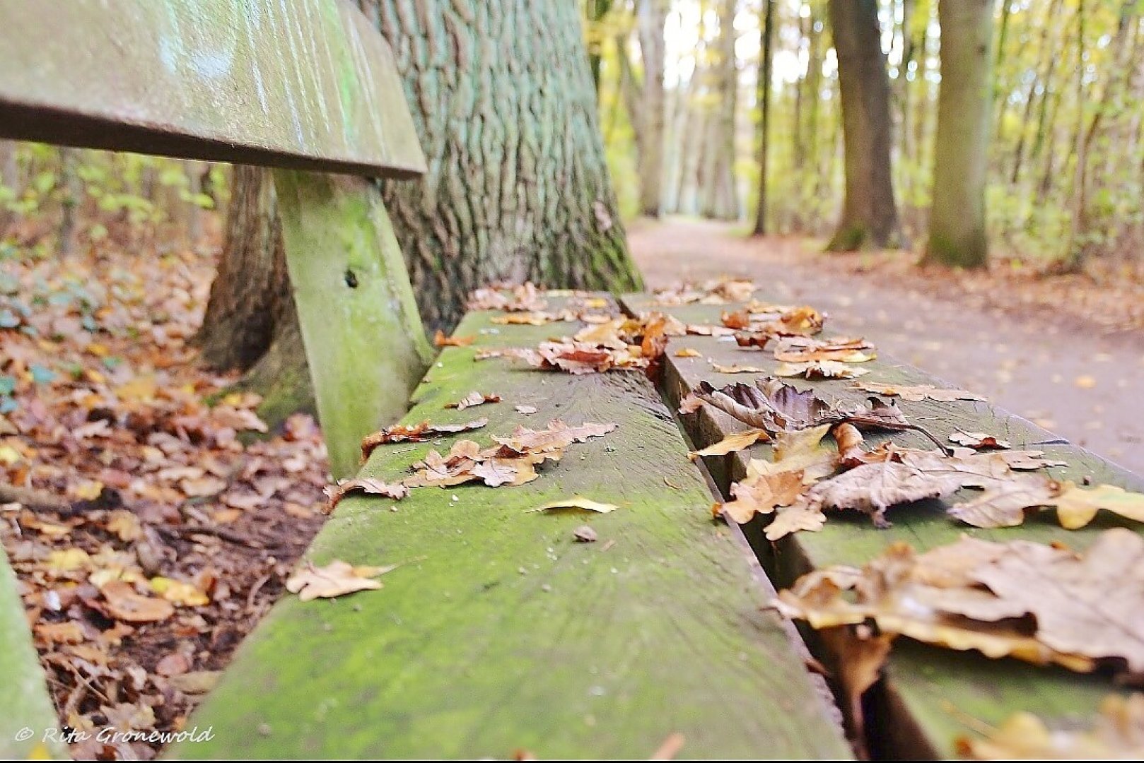 So schön ist der Herbst in Ostfriesland - Bild 59