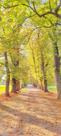 So schön ist der Herbst in Ostfriesland - Bild 64