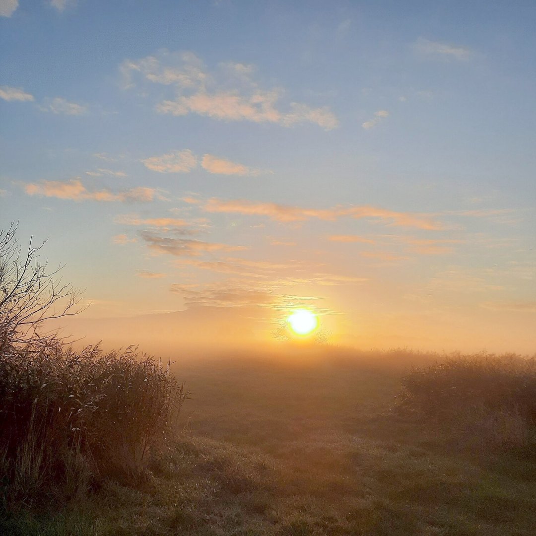 So schön ist der Herbst in Ostfriesland - Bild 66