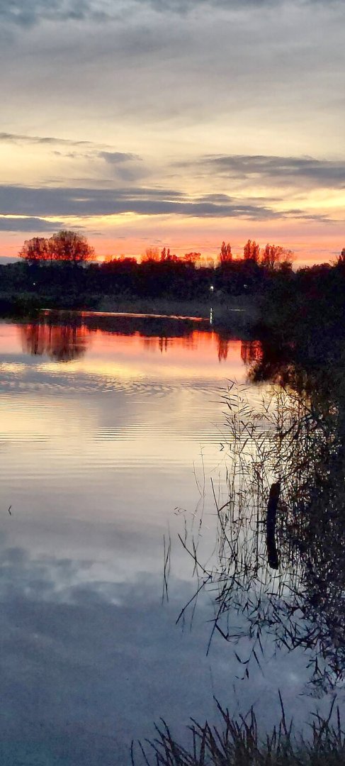 So schön ist der Herbst in Ostfriesland - Bild 74