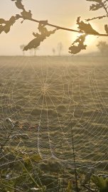 So schön ist der Herbst in Ostfriesland - Bild 80