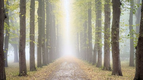 So schön ist der Herbst in Ostfriesland - Bild 111