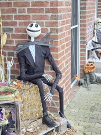 Gruselige Halloween-Dekorationen - Bild 9