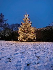 Weihnachtliches Ostfriesland - Bild 49