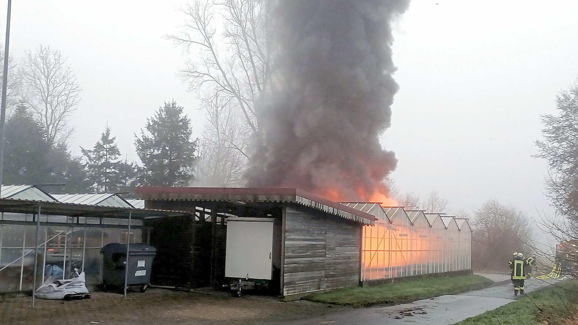 Feuer in Gärtnerei in Diele - Bild 1