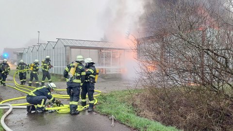 Feuer in Gärtnerei in Diele - Bild 4