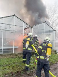 Feuer in Gärtnerei in Diele - Bild 5