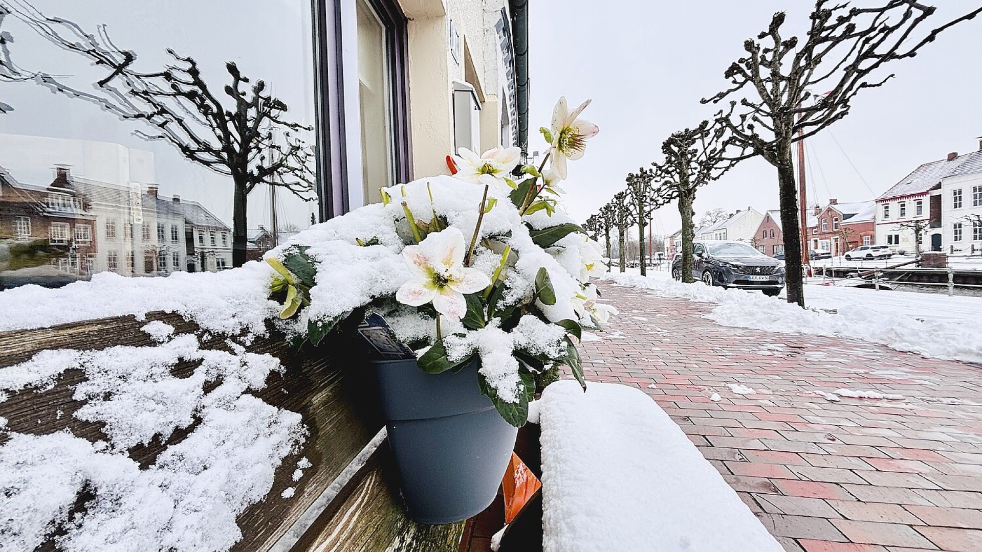 Ostfriesland im Schnee - Bild 1