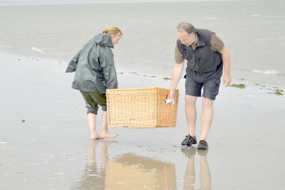 Heuler lernen die Freiheit kennen - Bild 3