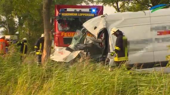 Transporter kracht gegen Baum: Fahrer eingeklemmt