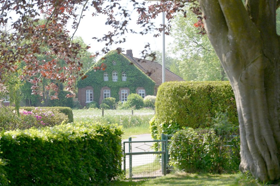 Fehnhaus-Idyll im vermeintlich sicheren Ostfriesland: Das scheint bei einigen Menschen, die von Hochwasser getroffen wurden, als Zufluchtsort zu gelten. Foto: Lüppen