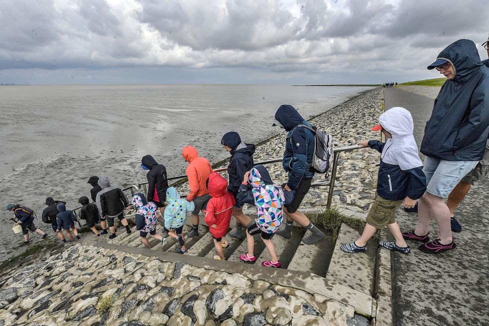 „Das Wattenmeer ist wie ein Tellerrand“ OstfriesenZeitung