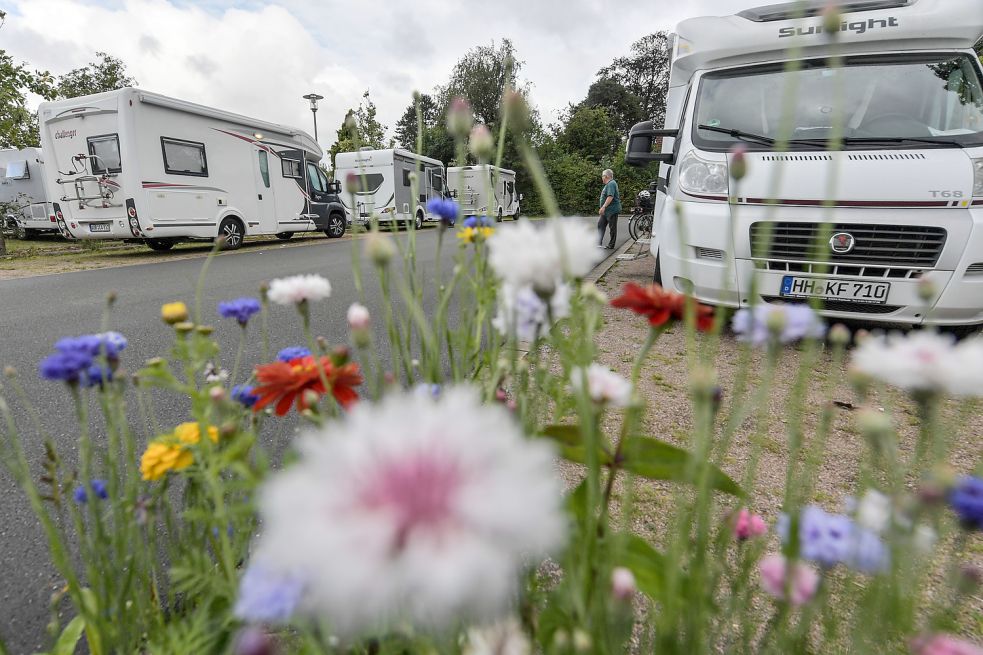 Blühwiesen erhöhen die Aufenthaltsqualität auf dem Wohnmobilstellplatz in Aurich am Ellernfeld. Fotos: Ortgies