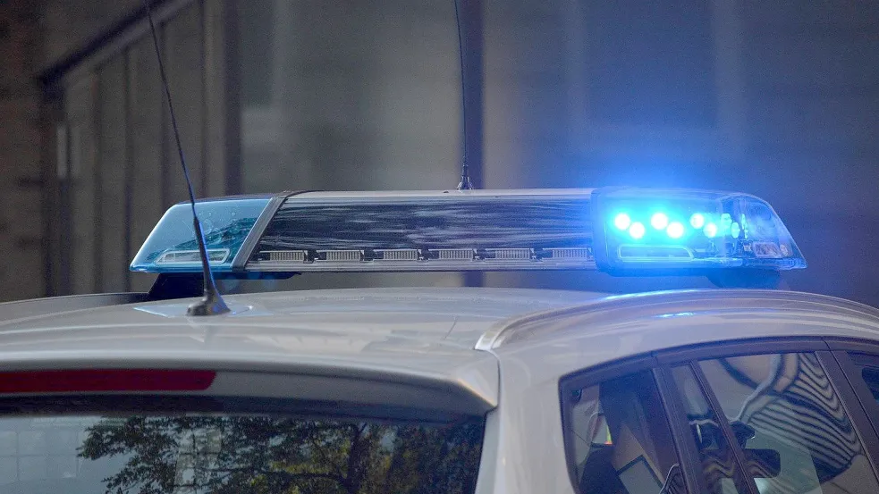 Der Dieb hat die Mitarbeiter der Tankstelle und Polizeibeamten beleidigt. Foto: Pixabay
