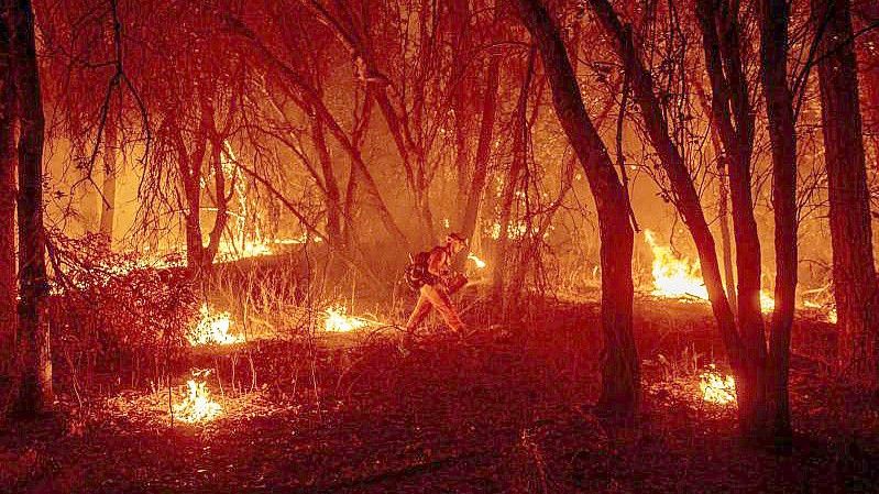 Ein Feuerwehrmann versucht, ein Feuer einzudämmen. Foto: Ethan Swope/AP/dpa