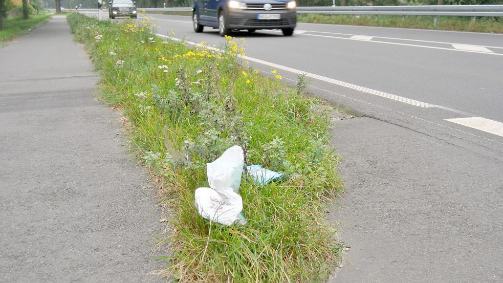 Nicht die feine Art: Müll, der am Straßenrand entsorgt wird. Foto: Boschbach