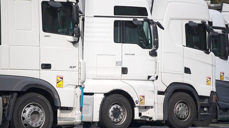 Nach Schätzungen des Branchenverbands Road Haulage Association fehlen etwa 100.000 Lastwagenfahrer. Foto: Sebastian Gollnow/dpa